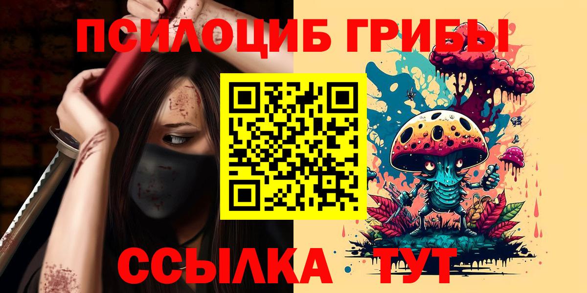 Псилоцибиновые грибы Psilocybe  Вход с VPN  наркота  Лесозаводск 